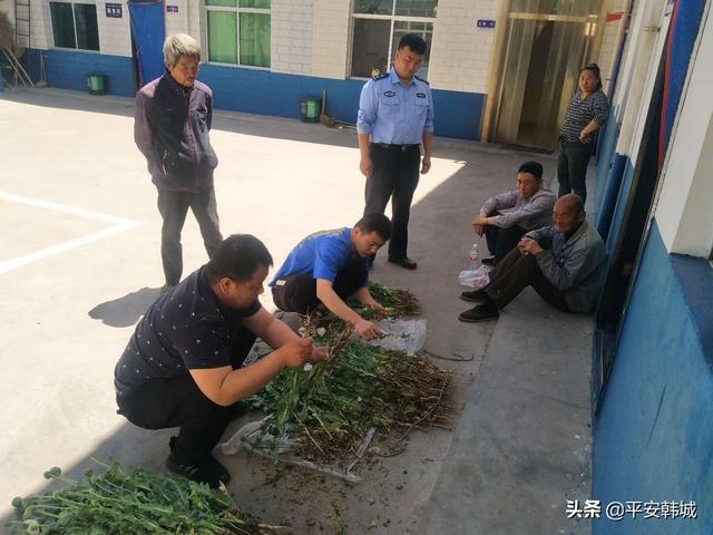 【百万警进千万家】王峰派出所围绕基础 多点发力 创建枫桥式派出所