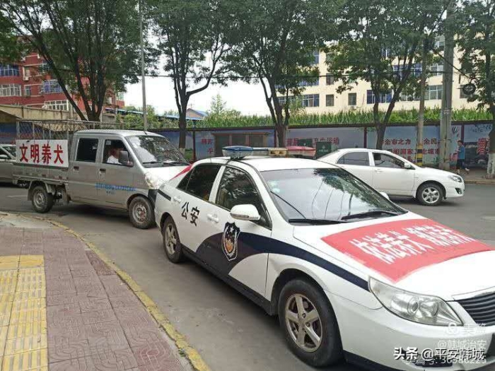 【创文在行动】韩城市公安局集中开展犬类管理专项治理行动