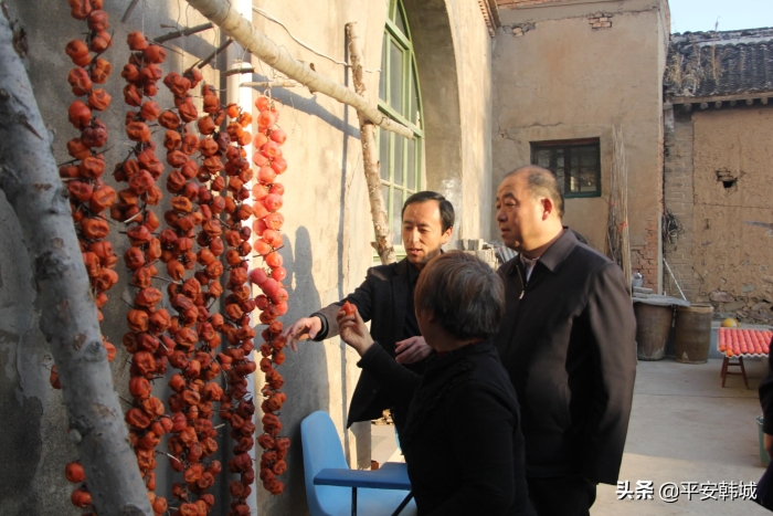 宁双喜调研指导脱贫攻坚工作