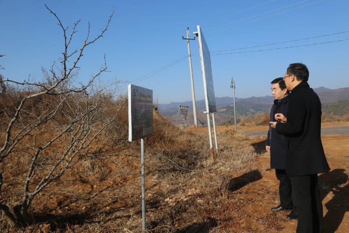 亢振峰检查森林防火工作并慰问一线护林员和山区脱贫群众（图）