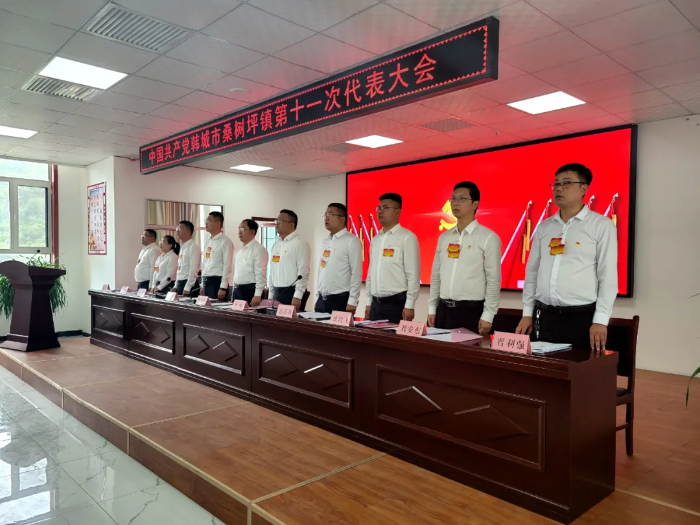 韩城：“四个注重”推动全市镇党委换届工作圆满完成（图）