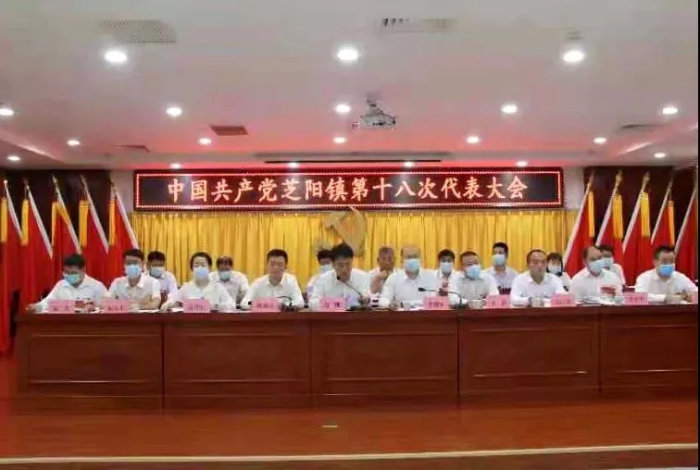 韩城：“四个注重”推动全市镇党委换届工作圆满完成（图）