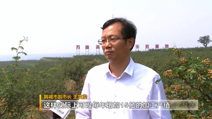 韩城:从小小花椒到智能制造 为产业插上科技的翅膀(图)