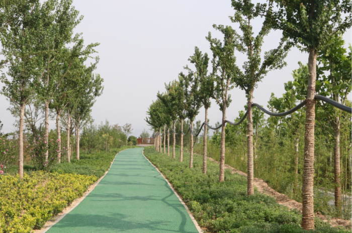 亢振峰检查迎十四运会城市设施提升改造工作进展情况（图）