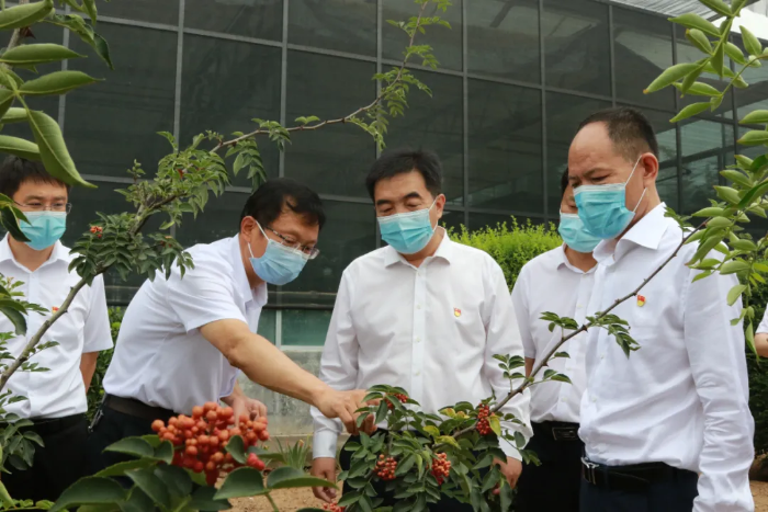 亢振峰赴芝阳花椒小镇调研并召开花椒大会筹备工作汇报会（图）