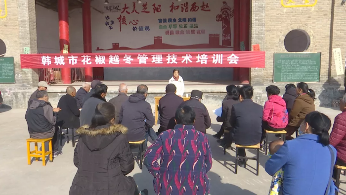 韩城市花椒越冬管理技术培训在芝阳镇拉开序幕(图)
