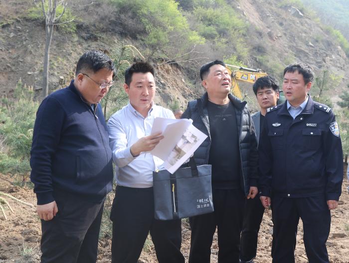 张景锋带队检查“打非治违”工作
