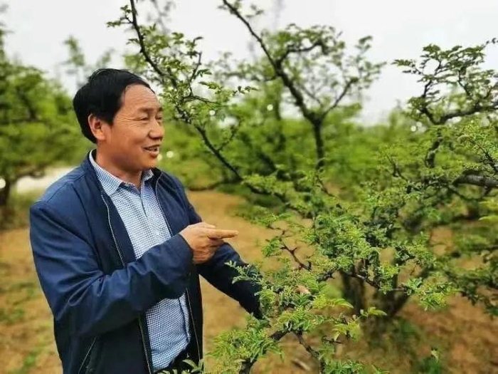 fe07165d6f8342a1bcd1663950fd8152_noop